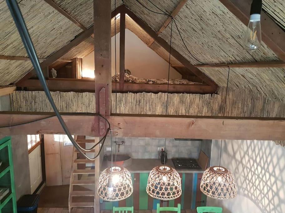 וולסן-זאוד Balistyle Guesthouse Incl Hottub Near Amsterdam And Haarlem מראה חיצוני תמונה
