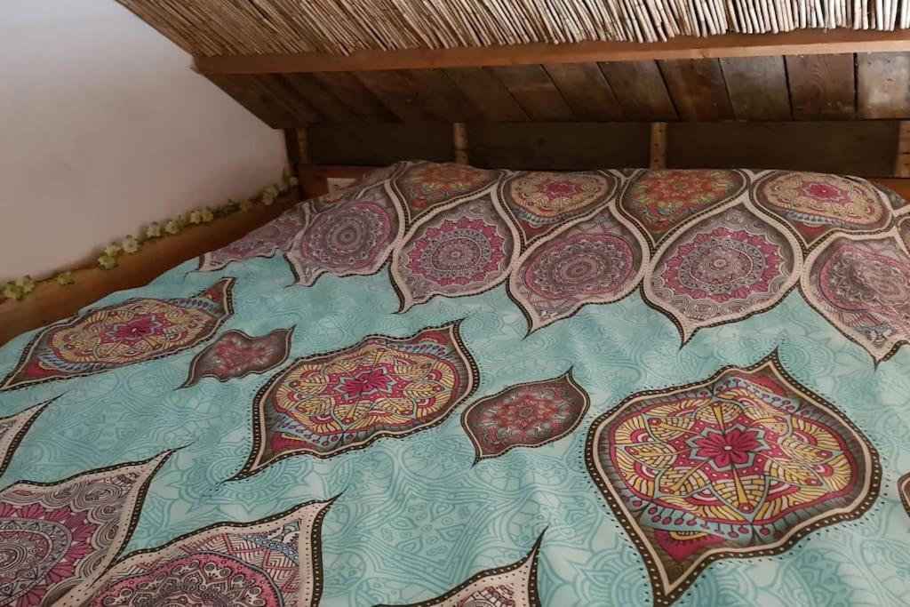 וולסן-זאוד Balistyle Guesthouse Incl Hottub Near Amsterdam And Haarlem מראה חיצוני תמונה